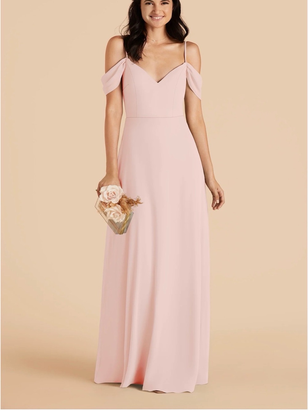 Birdy Grey Devin Chiffon Dress XXL | NWT Blush Pink